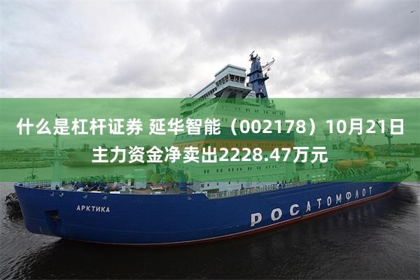 什么是杠杆证券 延华智能（002178）10月21日主力资金净卖出2228.47万元