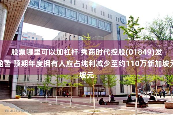 股票哪里可以加杠杆 秀商时代控股(01849)发盈警 预期年度拥有人应占纯利减少至约110万新加坡元