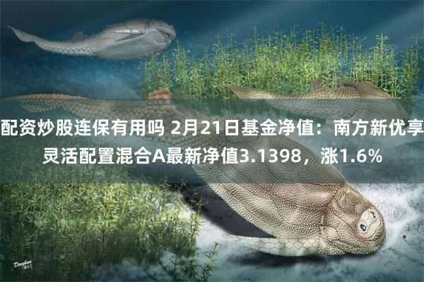 配资炒股连保有用吗 2月21日基金净值：南方新优享灵活配置混合A最新净值3.1398，涨1.6%