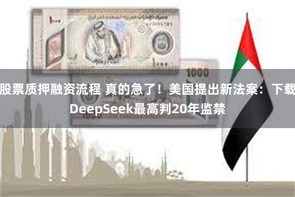 股票质押融资流程 真的急了！美国提出新法案：下载DeepSeek最高判20年监禁