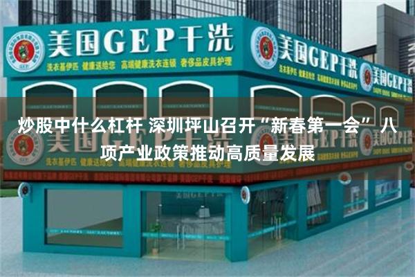 炒股中什么杠杆 深圳坪山召开“新春第一会” 八项产业政策推动高质量发展