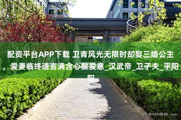 配资平台APP下载 卫青风光无限时却娶三婚公主，爱妻临终遗言满含心酸爱意_汉武帝_卫子夫_平阳