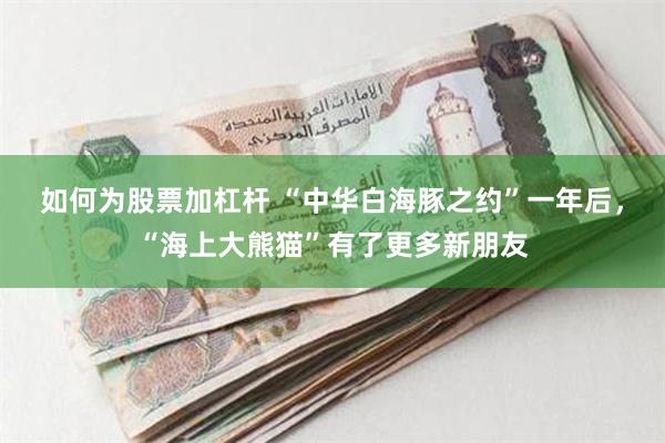 如何为股票加杠杆 “中华白海豚之约”一年后，“海上大熊猫”有了更多新朋友