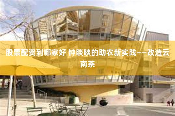 股票配资到哪家好 钟睒睒的助农新实践——改造云南茶