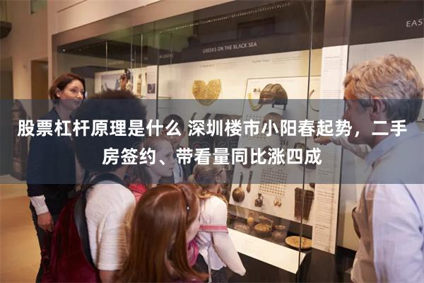 股票杠杆原理是什么 深圳楼市小阳春起势，二手房签约、带看量同比涨四成