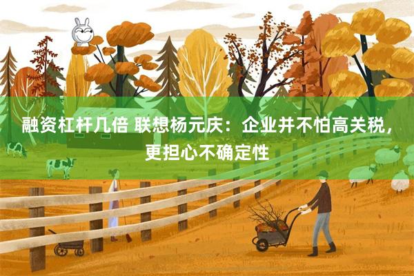 融资杠杆几倍 联想杨元庆：企业并不怕高关税，更担心不确定性