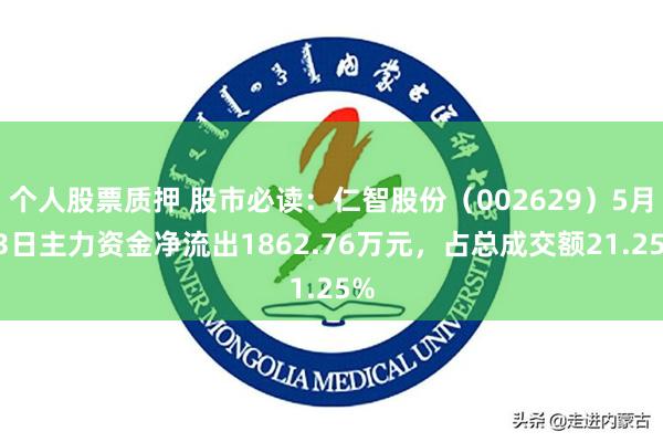 个人股票质押 股市必读：仁智股份（002629）5月13日主力资金净流出1862.76万元，占总成交额21.25%