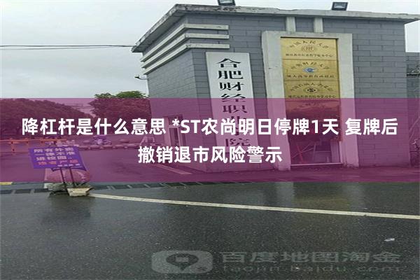 降杠杆是什么意思 *ST农尚明日停牌1天 复牌后撤销退市风险警示