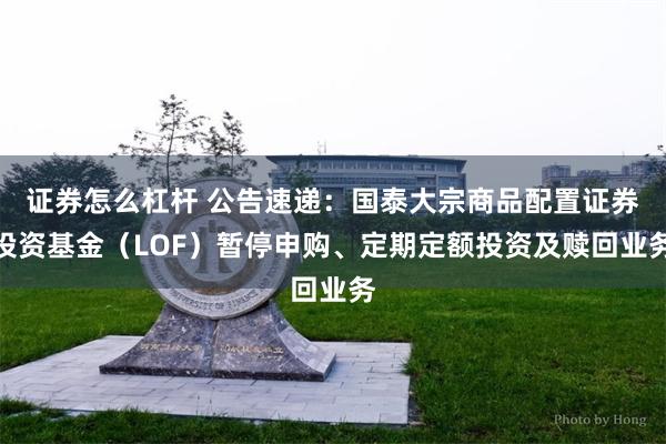 证券怎么杠杆 公告速递：国泰大宗商品配置证券投资基金（LOF）暂停申购、定期定额投资及赎回业务