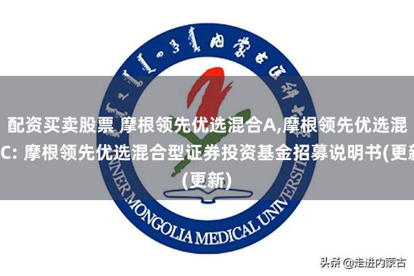 配资买卖股票 摩根领先优选混合A,摩根领先优选混合C: 摩根领先优选混合型证券投资基金招募说明书(更新)