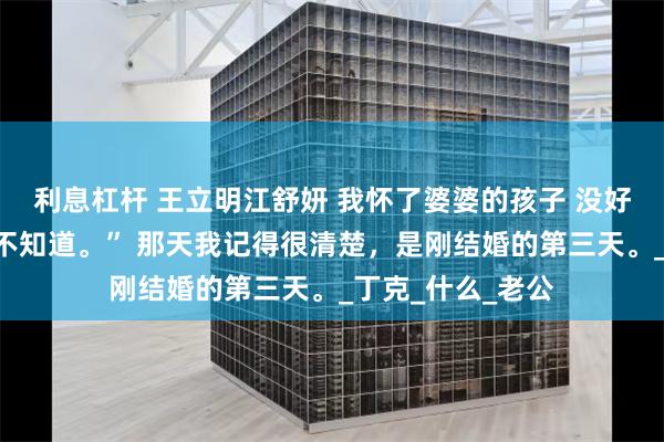 利息杠杆 王立明江舒妍 我怀了婆婆的孩子 没好气的回答他，“不知道。” 那天我记得很清楚，是刚结婚的第三天。_丁克_什么_老公