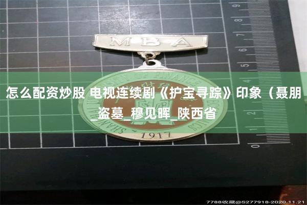怎么配资炒股 电视连续剧《护宝寻踪》印象（聂朋_盗墓_穆见晖_陕西省