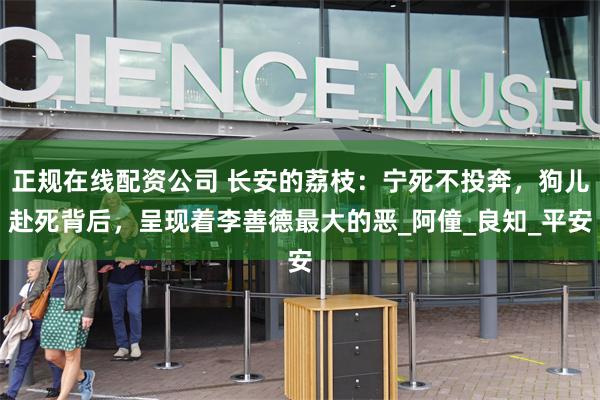 正规在线配资公司 长安的荔枝：宁死不投奔，狗儿赴死背后，呈现着李善德最大的恶_阿僮_良知_平安