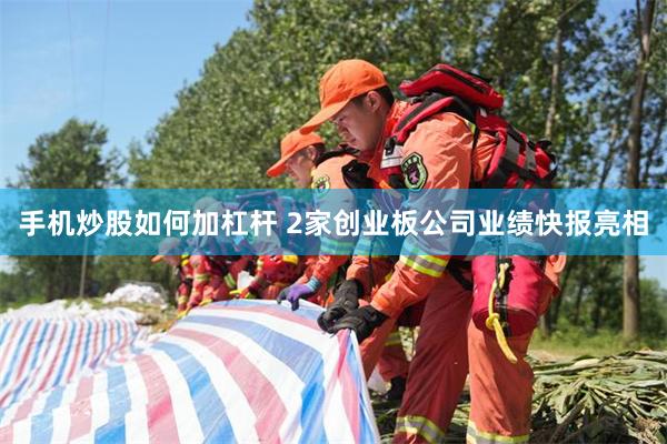 手机炒股如何加杠杆 2家创业板公司业绩快报亮相