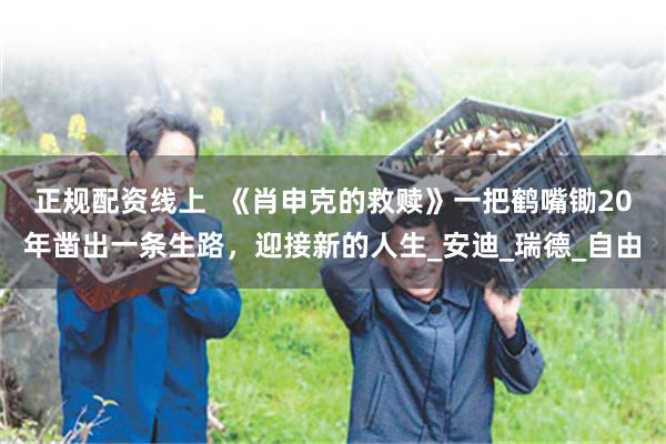 正规配资线上  《肖申克的救赎》一把鹤嘴锄20年凿出一条生路，迎接新的人生_安迪_瑞德_自由
