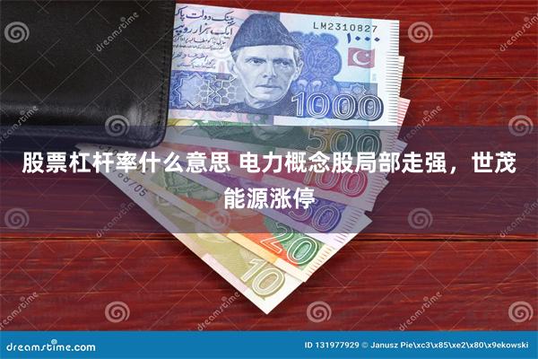 股票杠杆率什么意思 电力概念股局部走强，世茂能源涨停