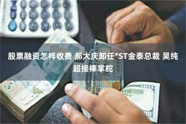 股票融资怎样收费 郝大庆卸任*ST金泰总裁 吴纯超接棒掌舵