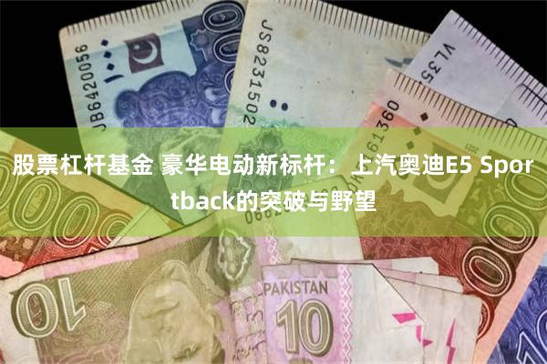 股票杠杆基金 豪华电动新标杆：上汽奥迪E5 Sportback的突破与野望