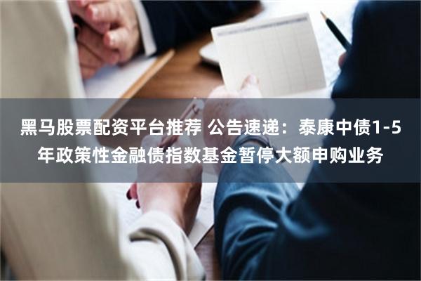 黑马股票配资平台推荐 公告速递：泰康中债1-5年政策性金融债指数基金暂停大额申购业务