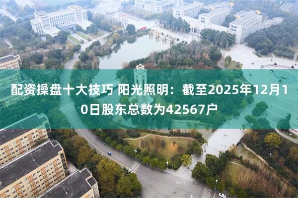 配资操盘十大技巧 阳光照明：截至2025年12月10日股东总数为42567户